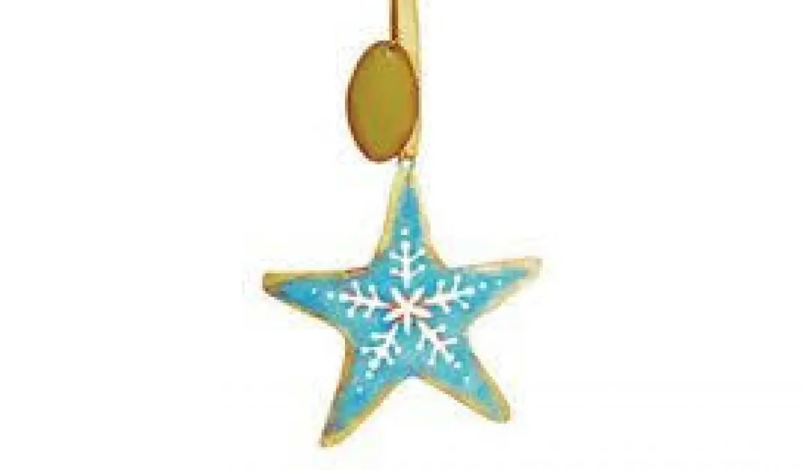 Metal Ornament - Patina Starfish Binoculars in Canada Pelee Wings