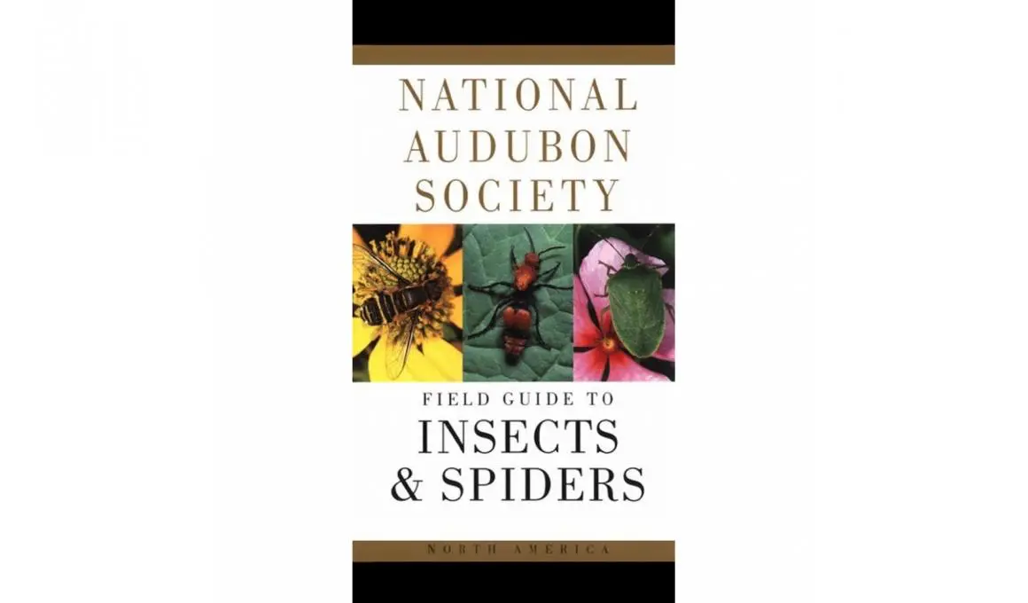 National Audubon Society Field Guide to Insects and Spiders Canada